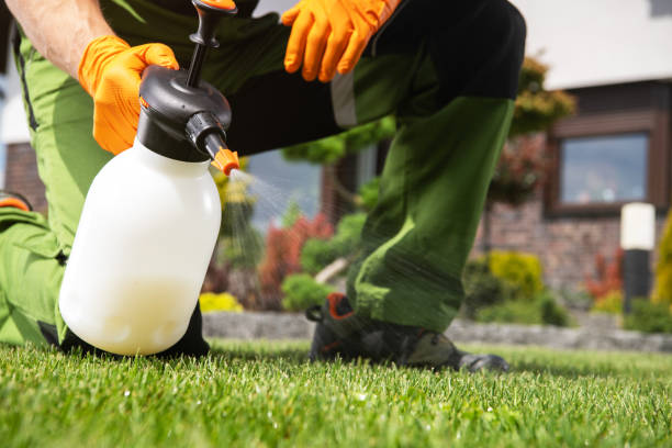 Best Termite Control Services  in Dell Rapids, SD
