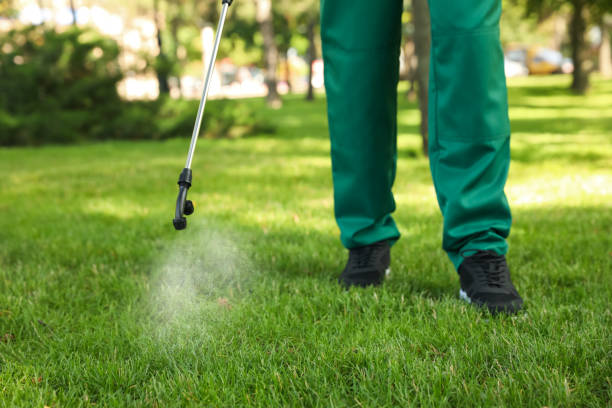 Best Exterminator Services  in Dell Rapids, SD