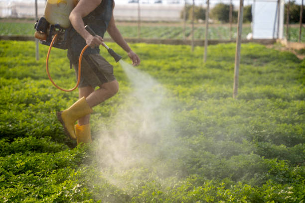 Best Pest Removal Services  in Dell Rapids, SD