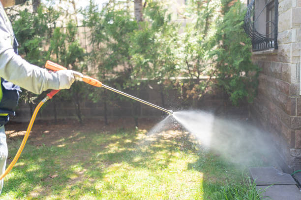 Best Flea Control Services  in Dell Rapids, SD