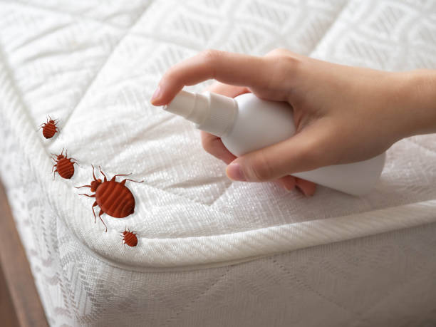 Best Commercial Pest Control Services  in Dell Rapids, SD